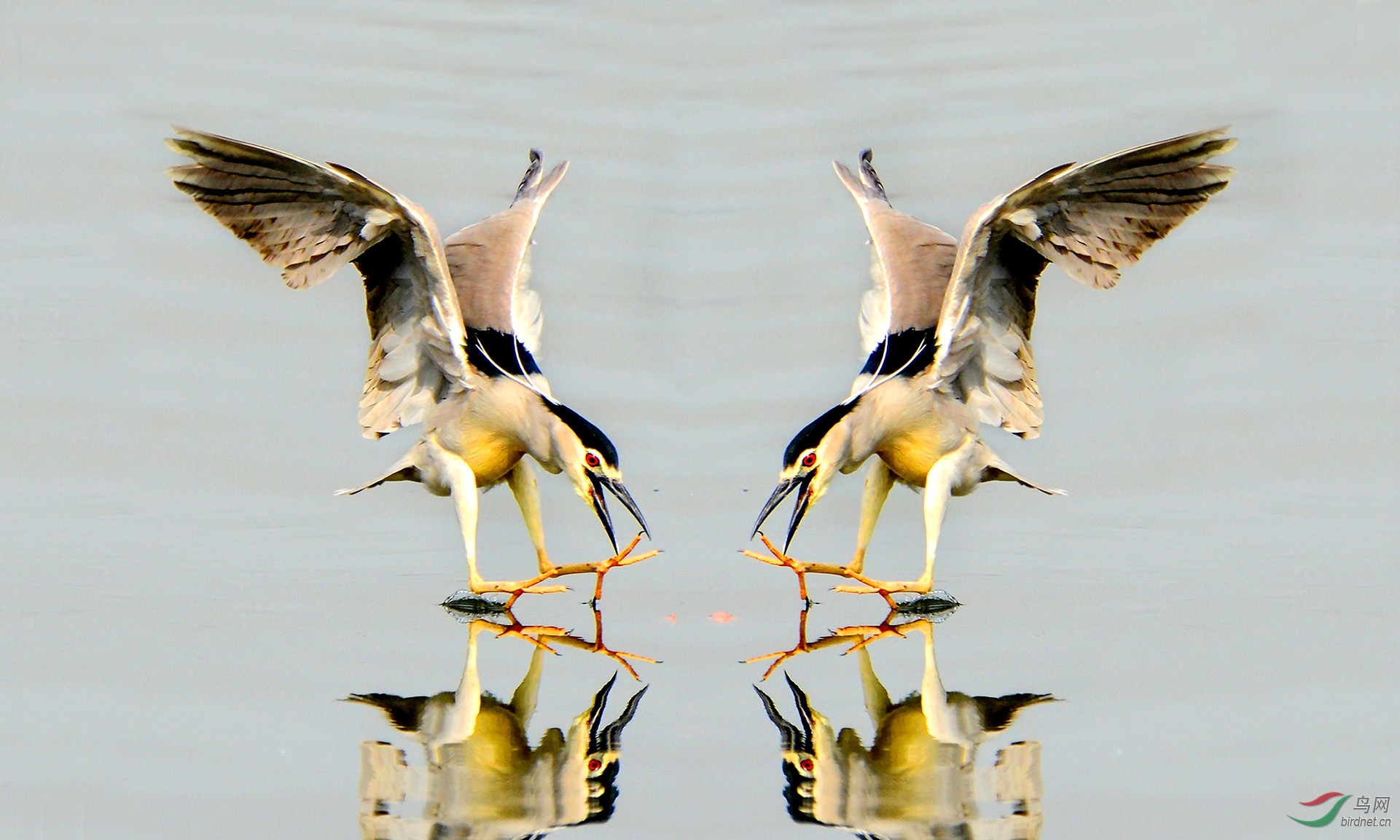 6.�վ���(ҹ��) 894AAM.jpg