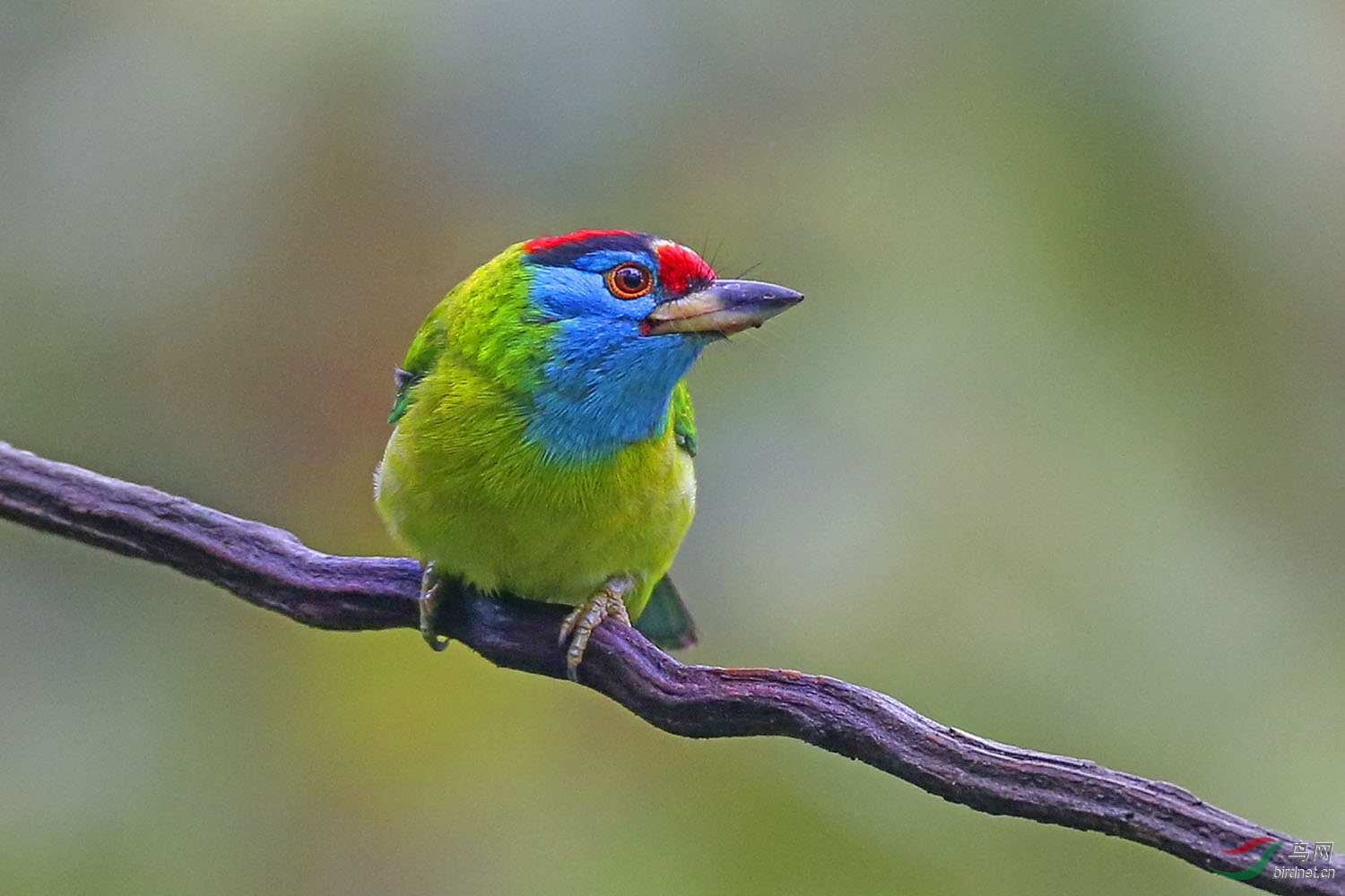 CK6K0679v.jpg