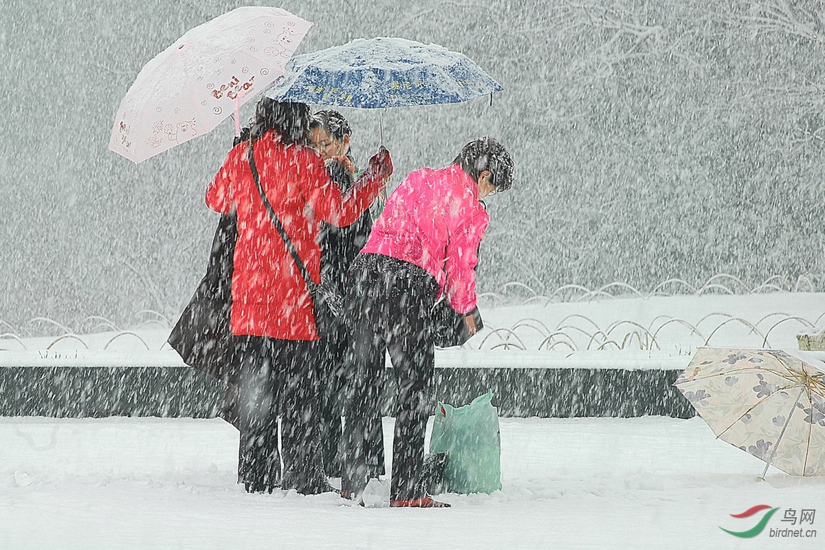 ѩ÷԰ 126_����.jpg