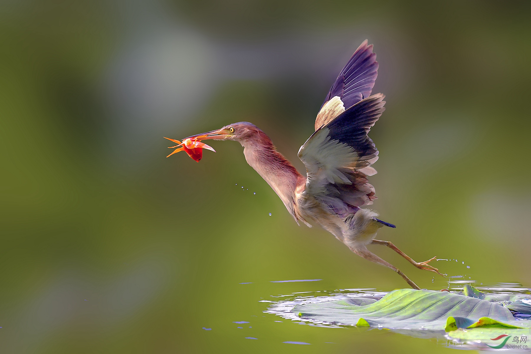 DSC_0168_����_����_���� (3)_����_����.jpg