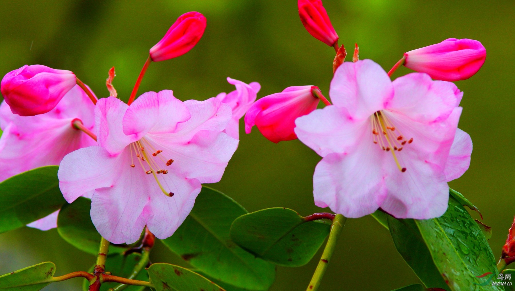 QEPark260408 103z1.JPG