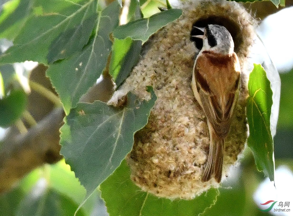 DSC_2409_����.jpg