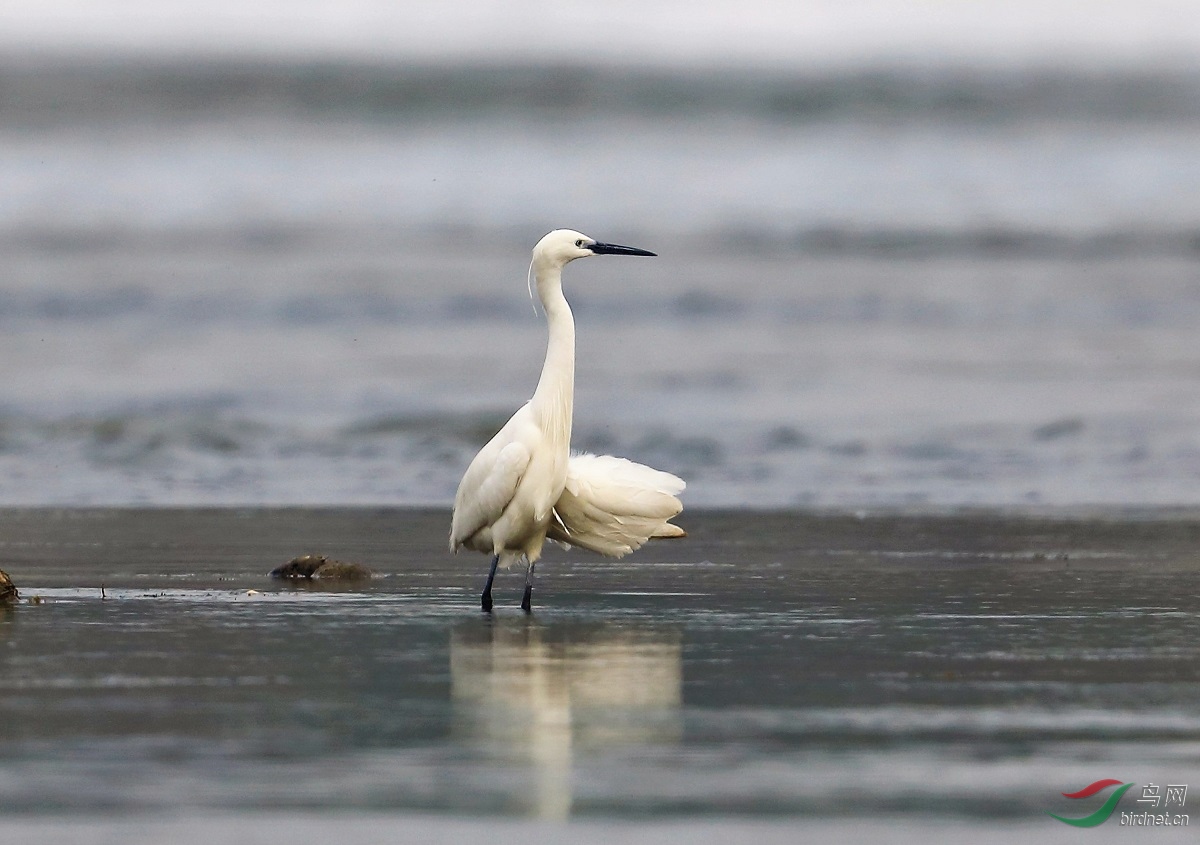 117788905I54A6995 (2).JPG