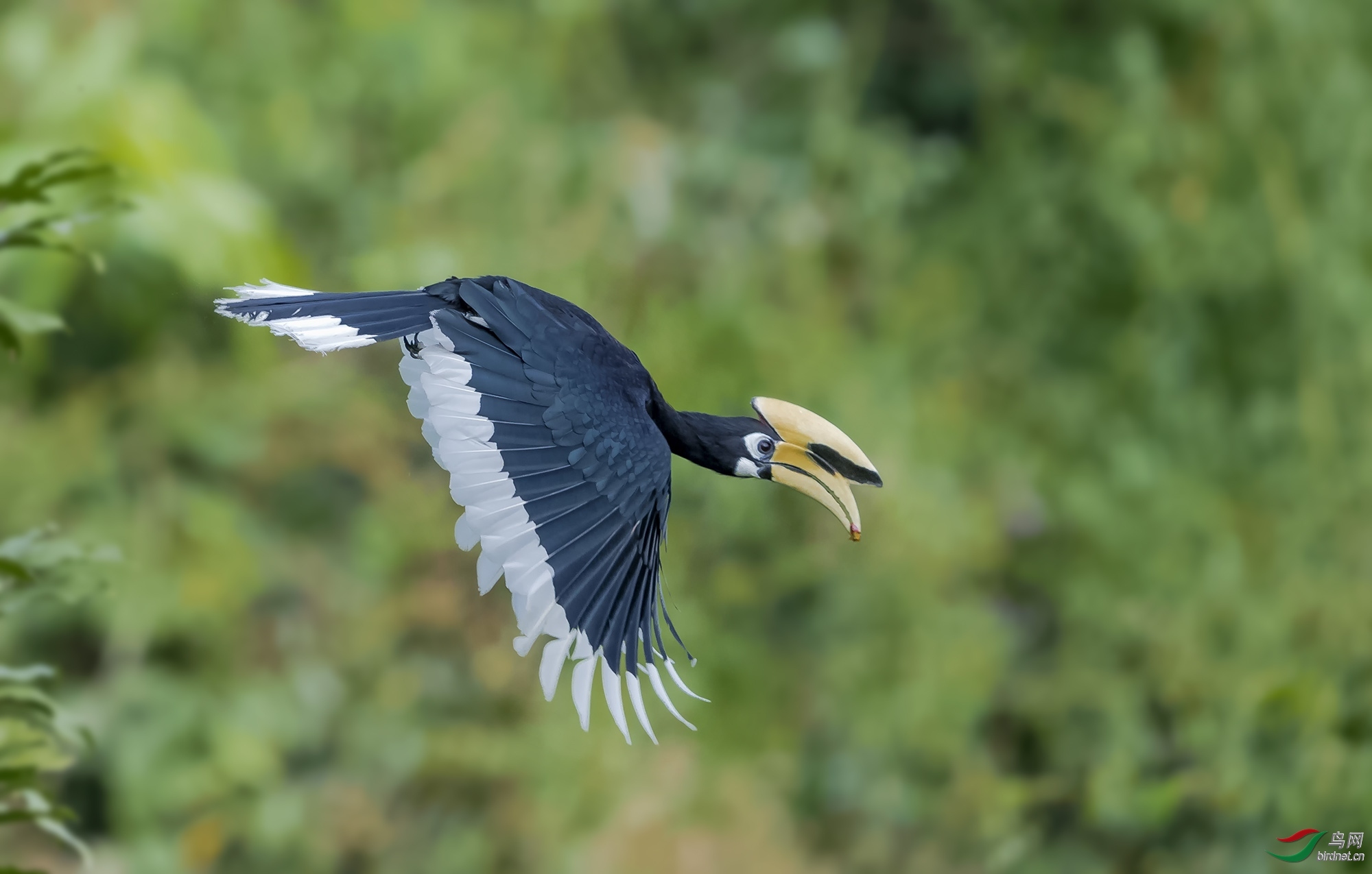 �ɣ����� ��ʦ����������ʡ�º���徰����������.jpg