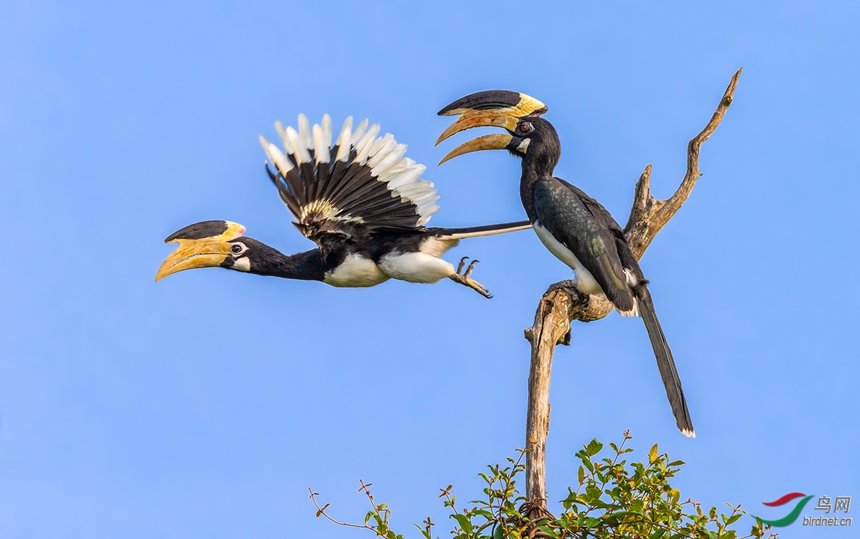 ���ۣ��˳����� ��ʦ����.jpg