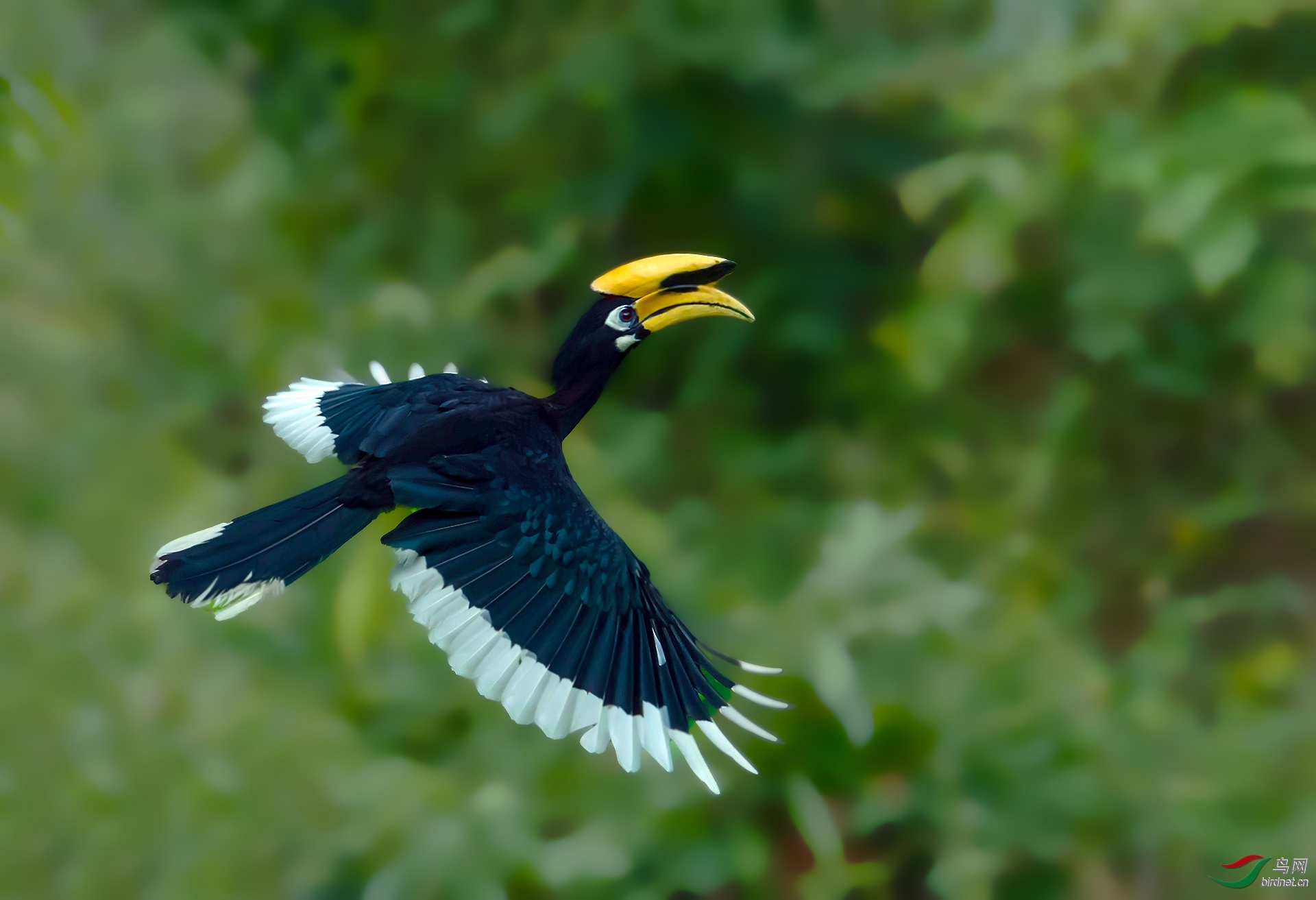 飞)清平乐1 老师拍摄于云南省德宏傣族景颇族自治州.jpg