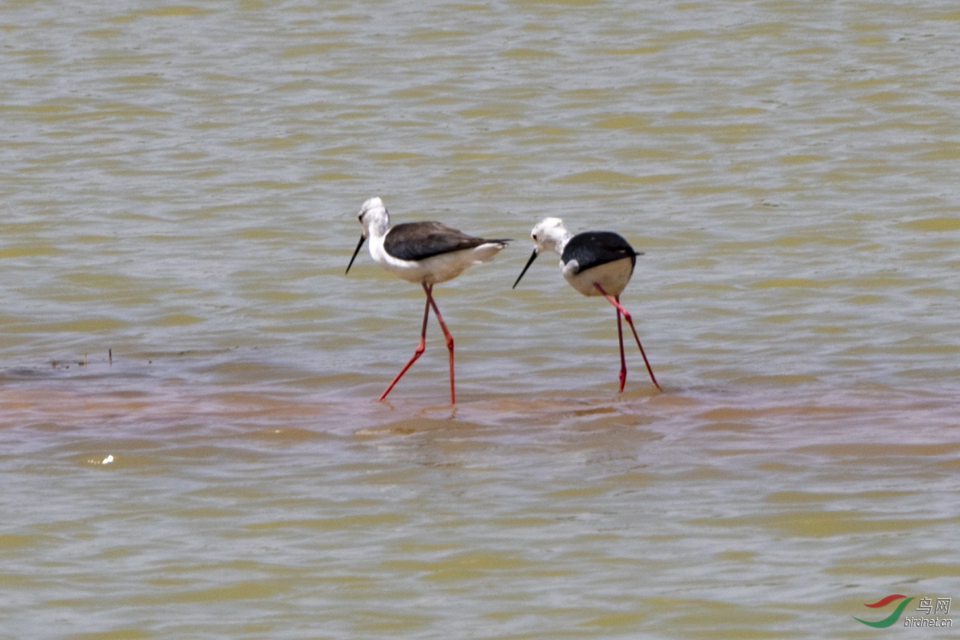 D50_6776.jpg