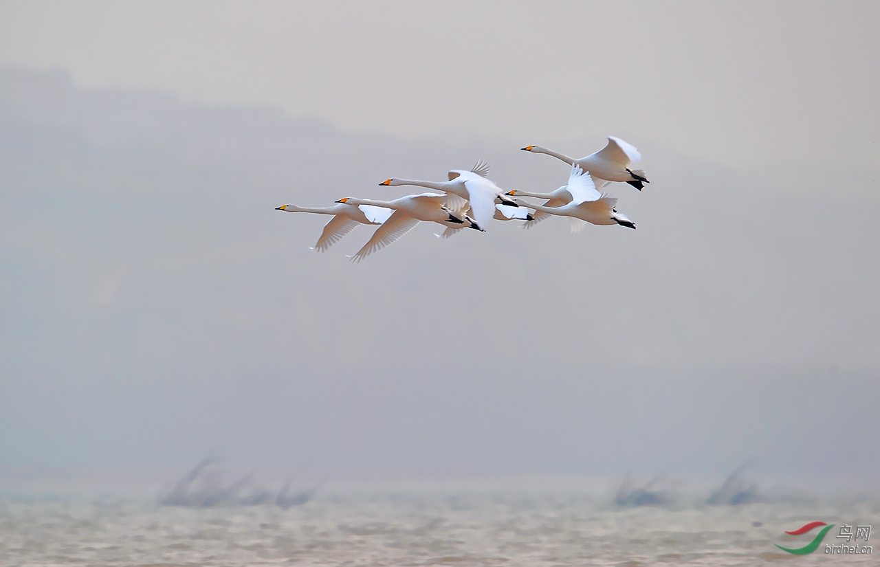 DSC_7868-0-0.jpg