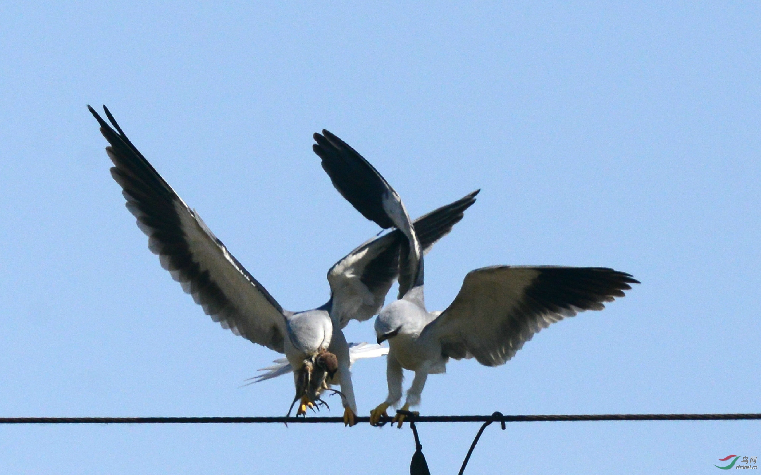 DSC_5909.jpg