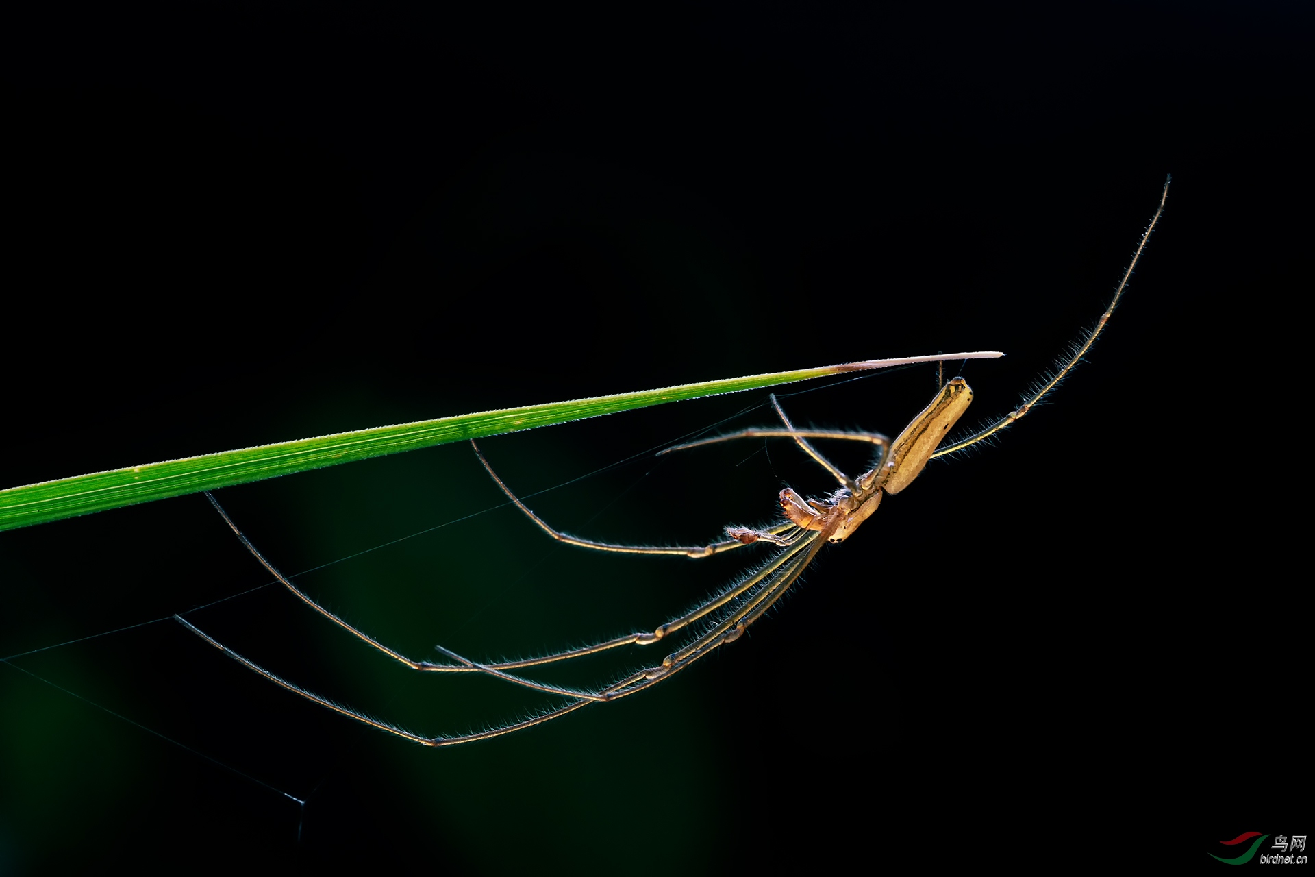 _G3A5894-1.jpg
