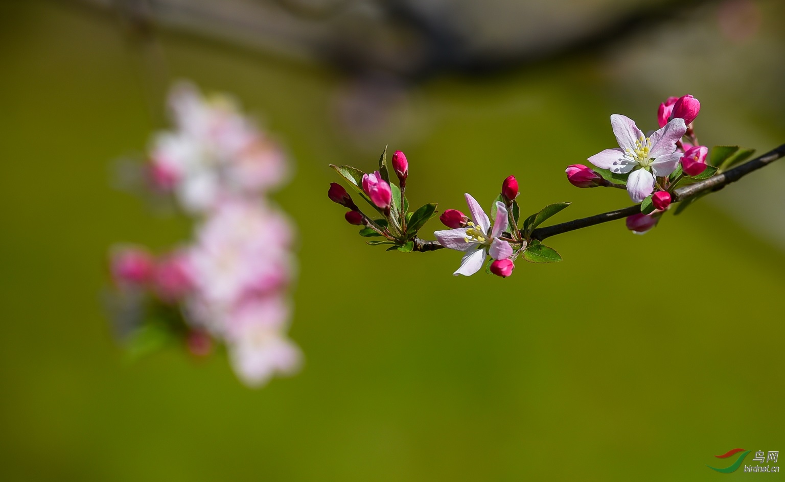 DSC_4722-12.jpg