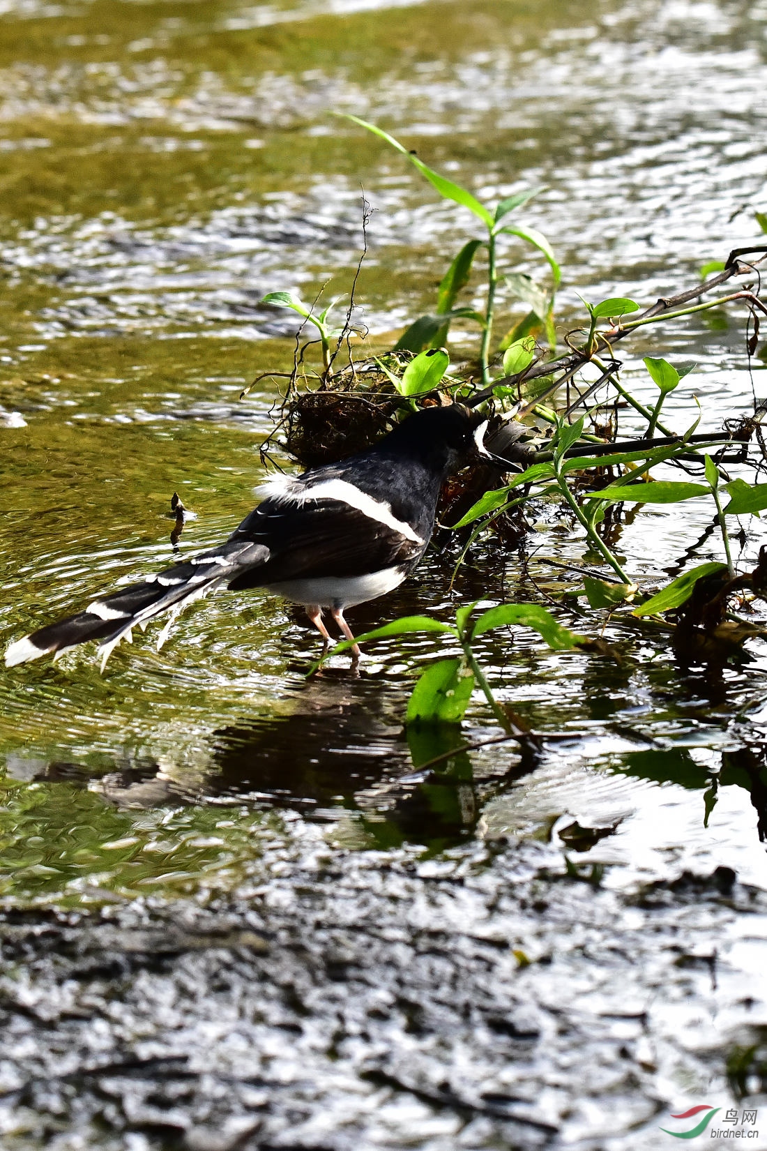 DSC_0110.JPG