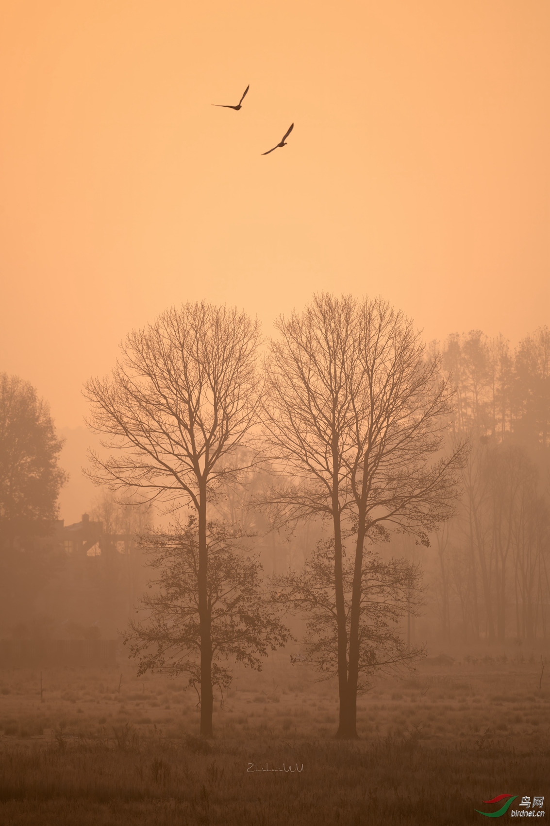 2019-12-07-8 �����������ݺ����� (3) ����_����.jpg