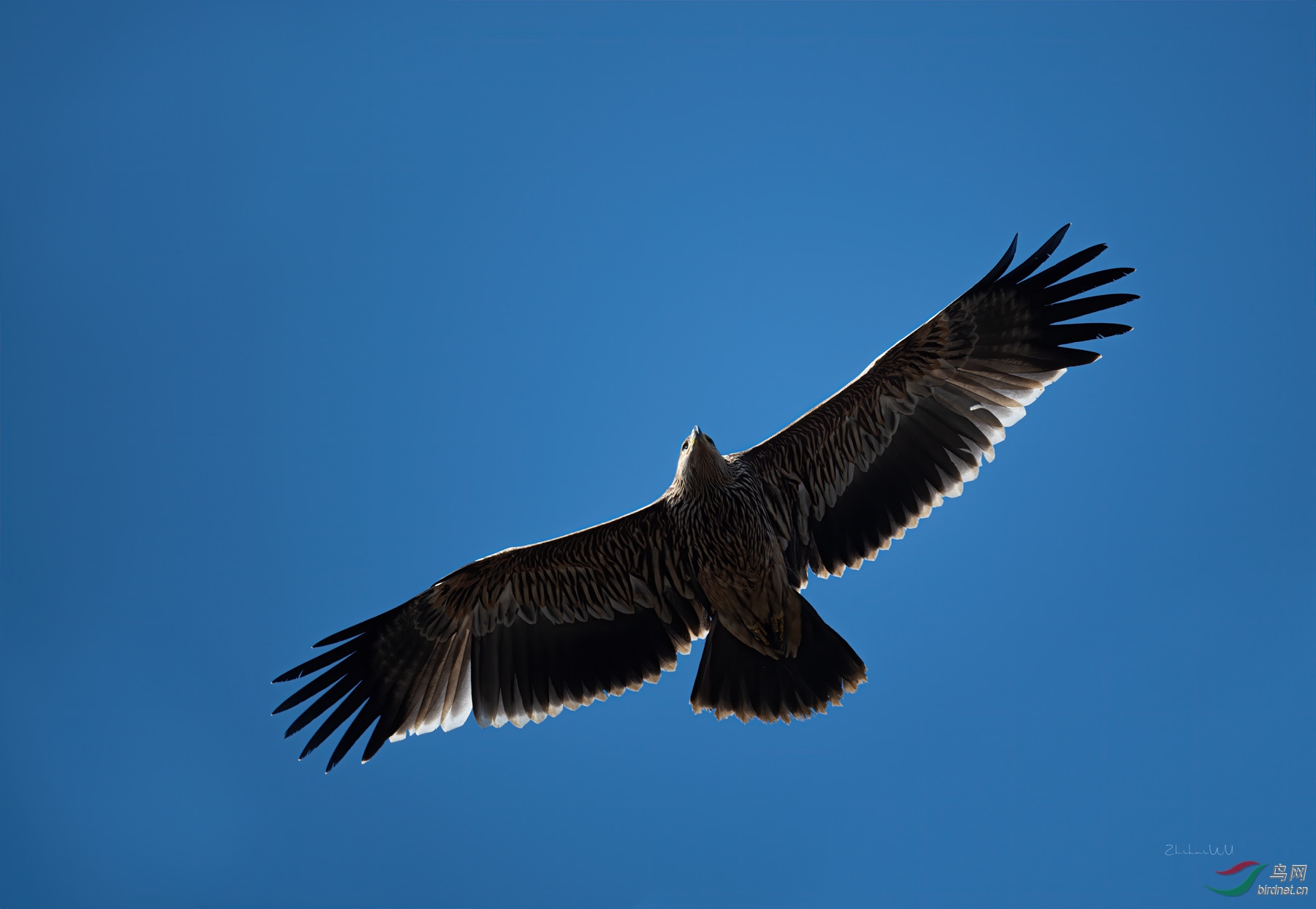 2019-12-07-8 �����������ݺ����� (332) ����_����.jpg