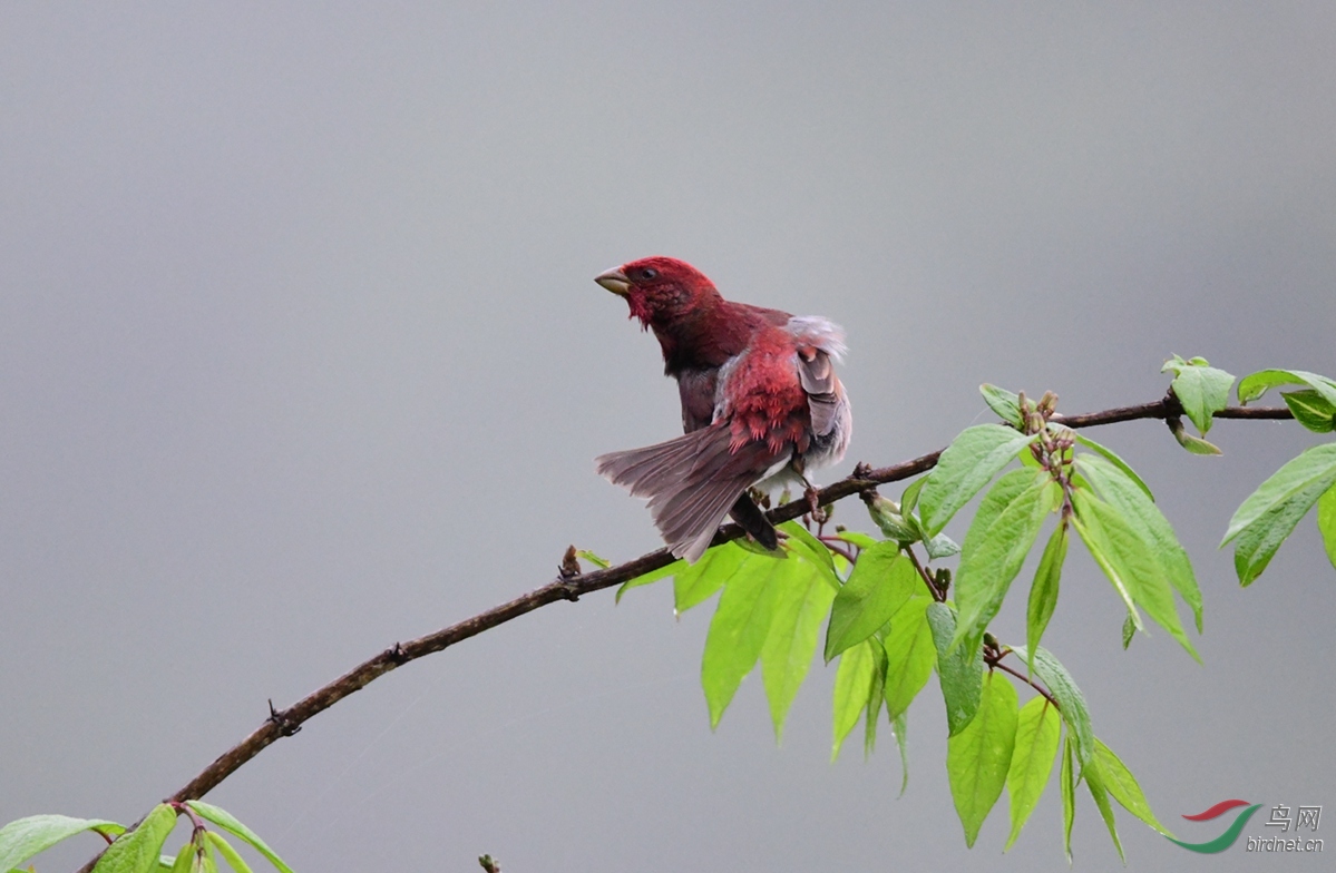 ��ͨ��ȸ ����ɽ (4).JPG