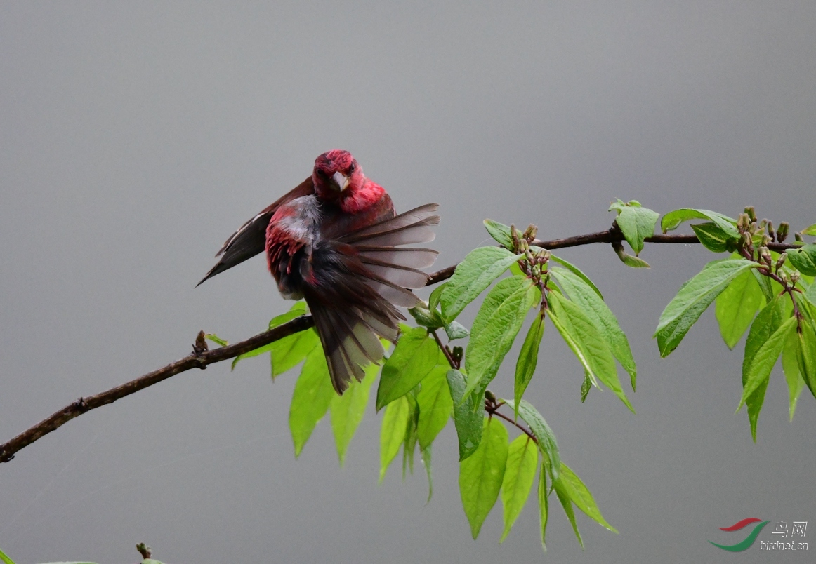 ��ͨ��ȸ ����ɽ (11).JPG