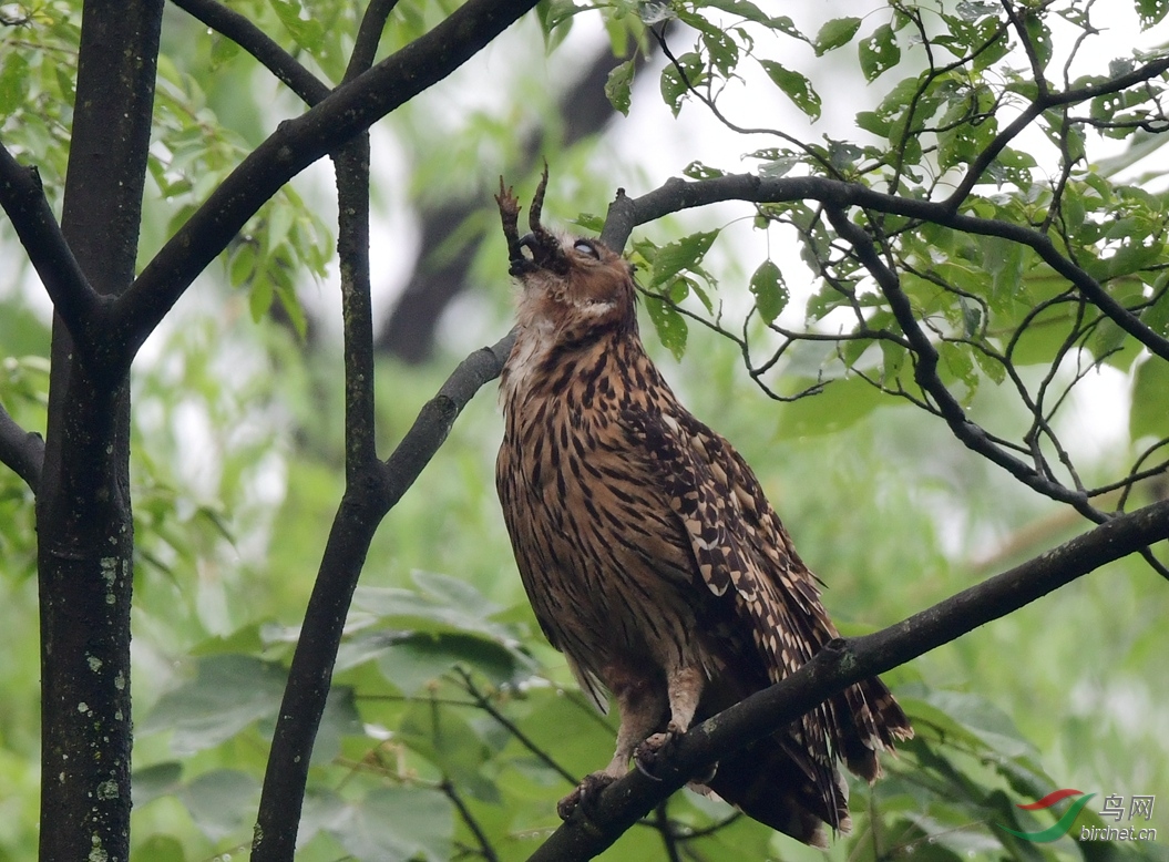 �������^ �����а��������· (71).JPG