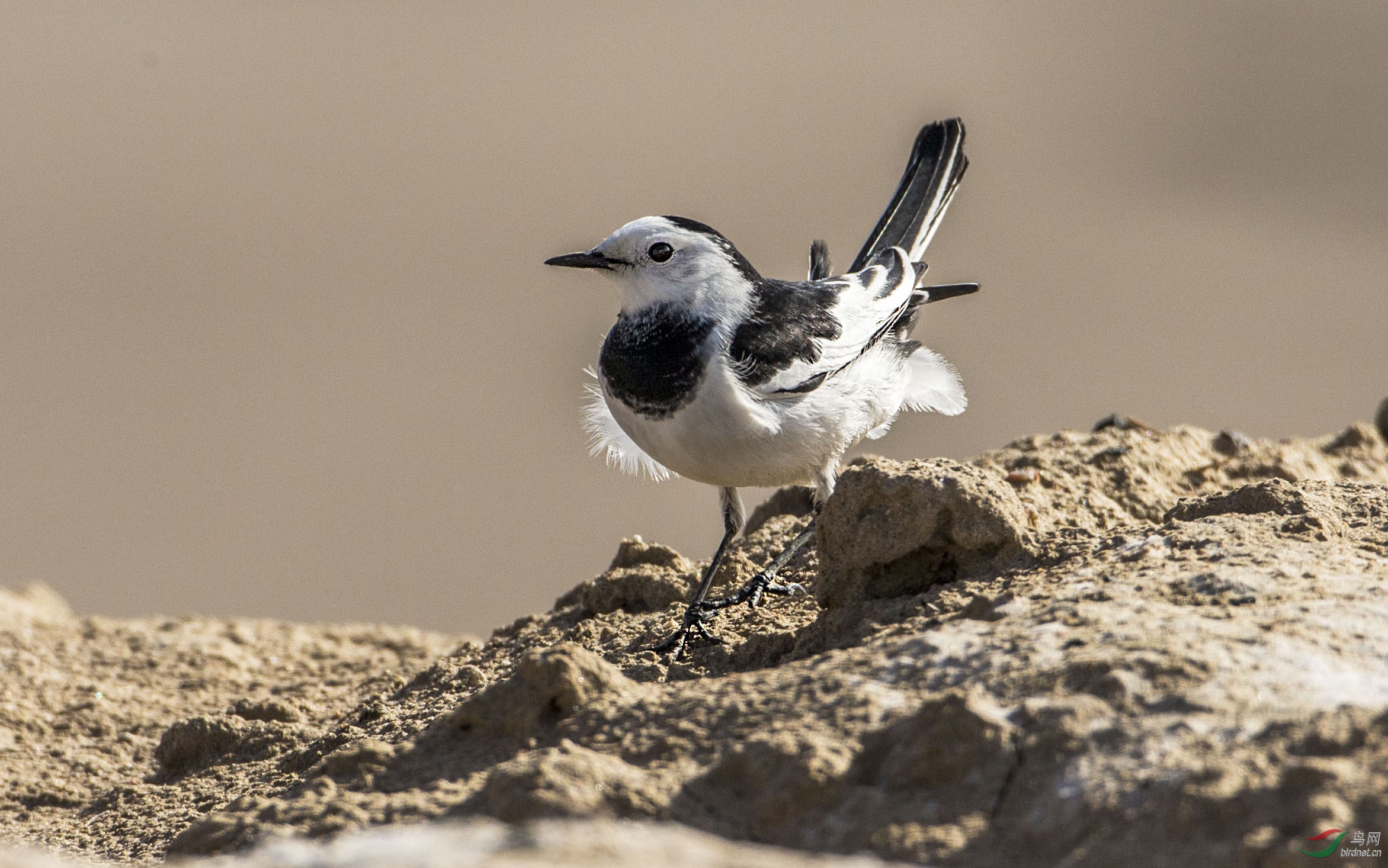 BW4Q4902 - ���� (3).jpg