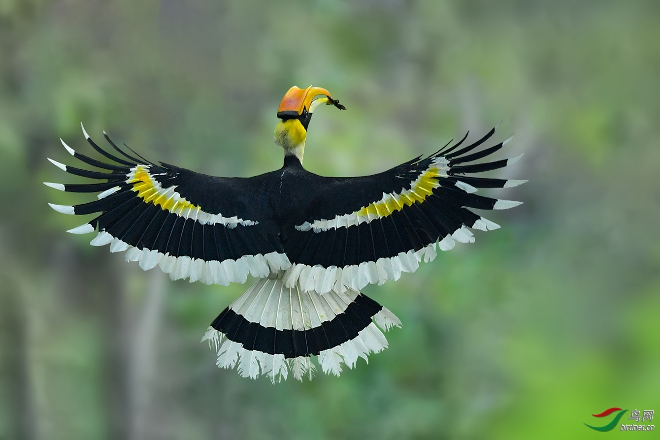 ���ᣩ�������� ��ʦ����������ʡ�º���徰����������.jpg