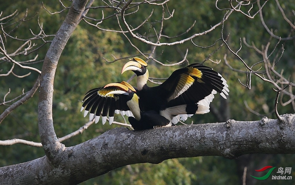 �ȱ������� ��ʦ����������ʡ�º���徰����������.jpg