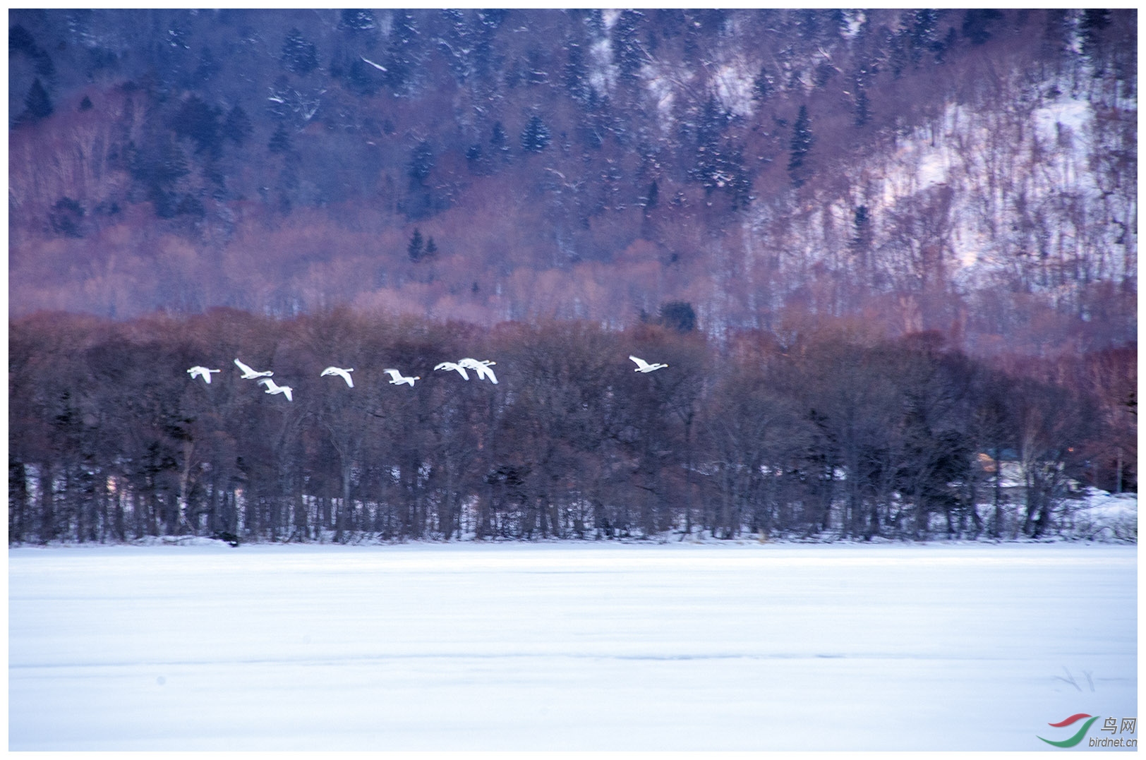 DSC_8259-1.jpg