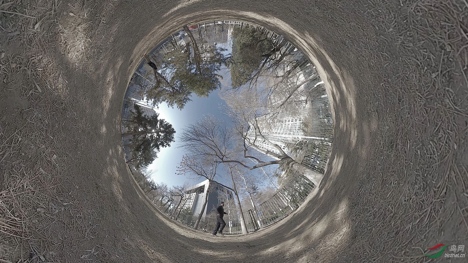 VID_20200310_095456_00_064.00_01_43_27.Still002_����_.jpg
