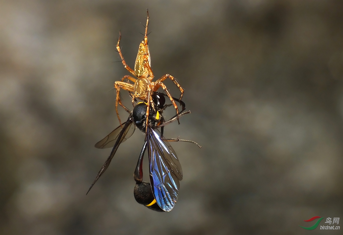 DSCF9140 - ���� - ����.JPG