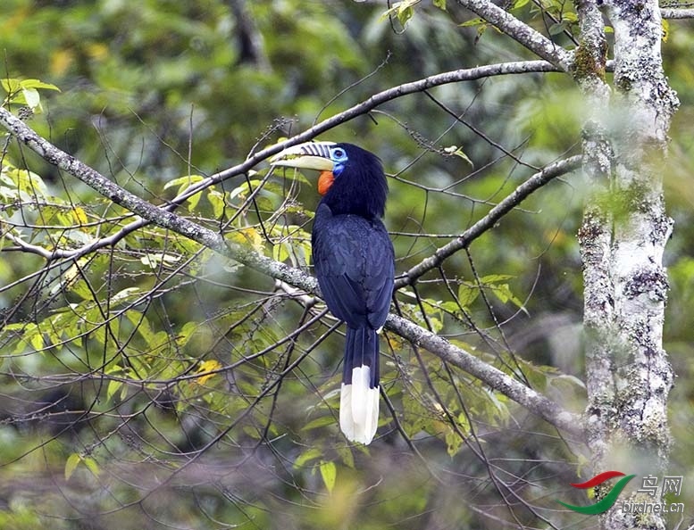 ����ͼ־ (2).jpg