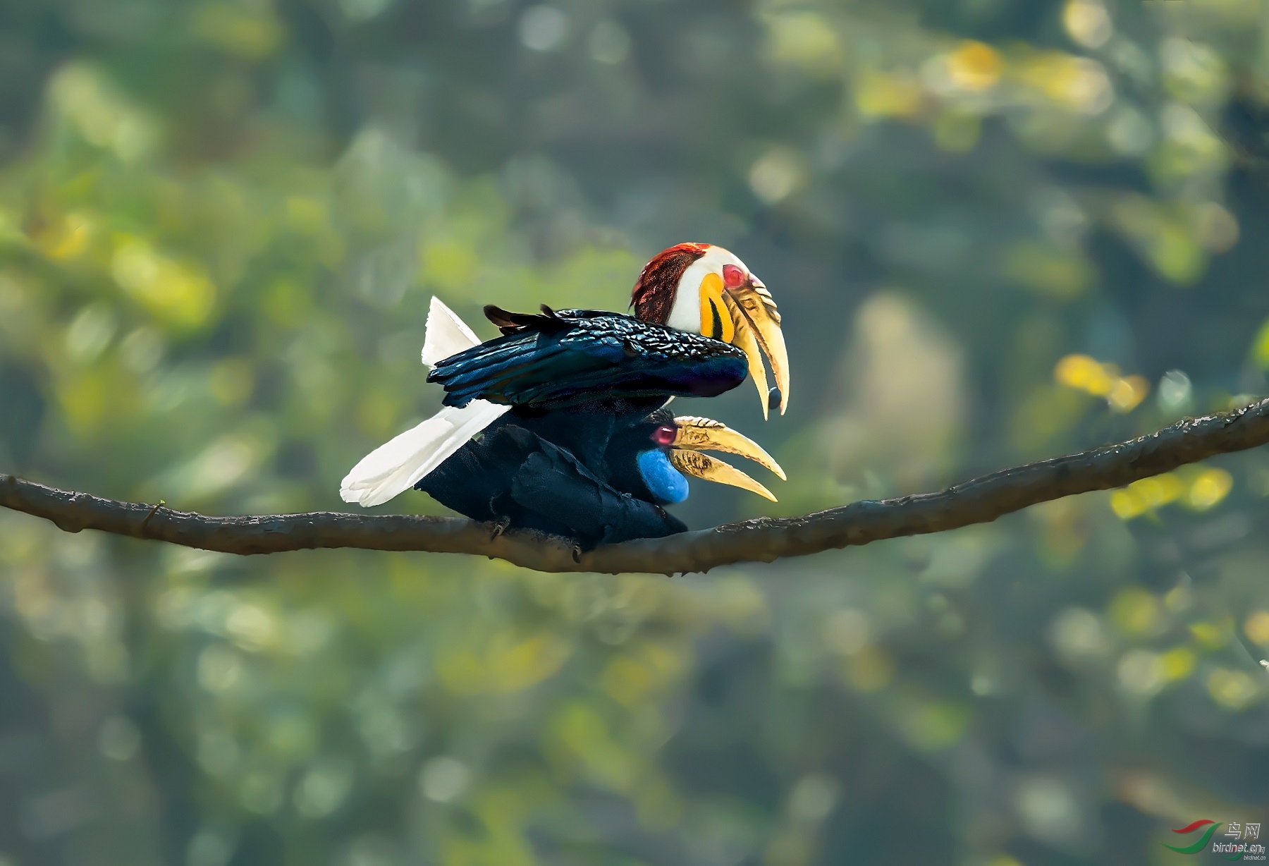 1800�ȱ�������ZL ��ʦ����������ʡ�º���徰����������.jpg