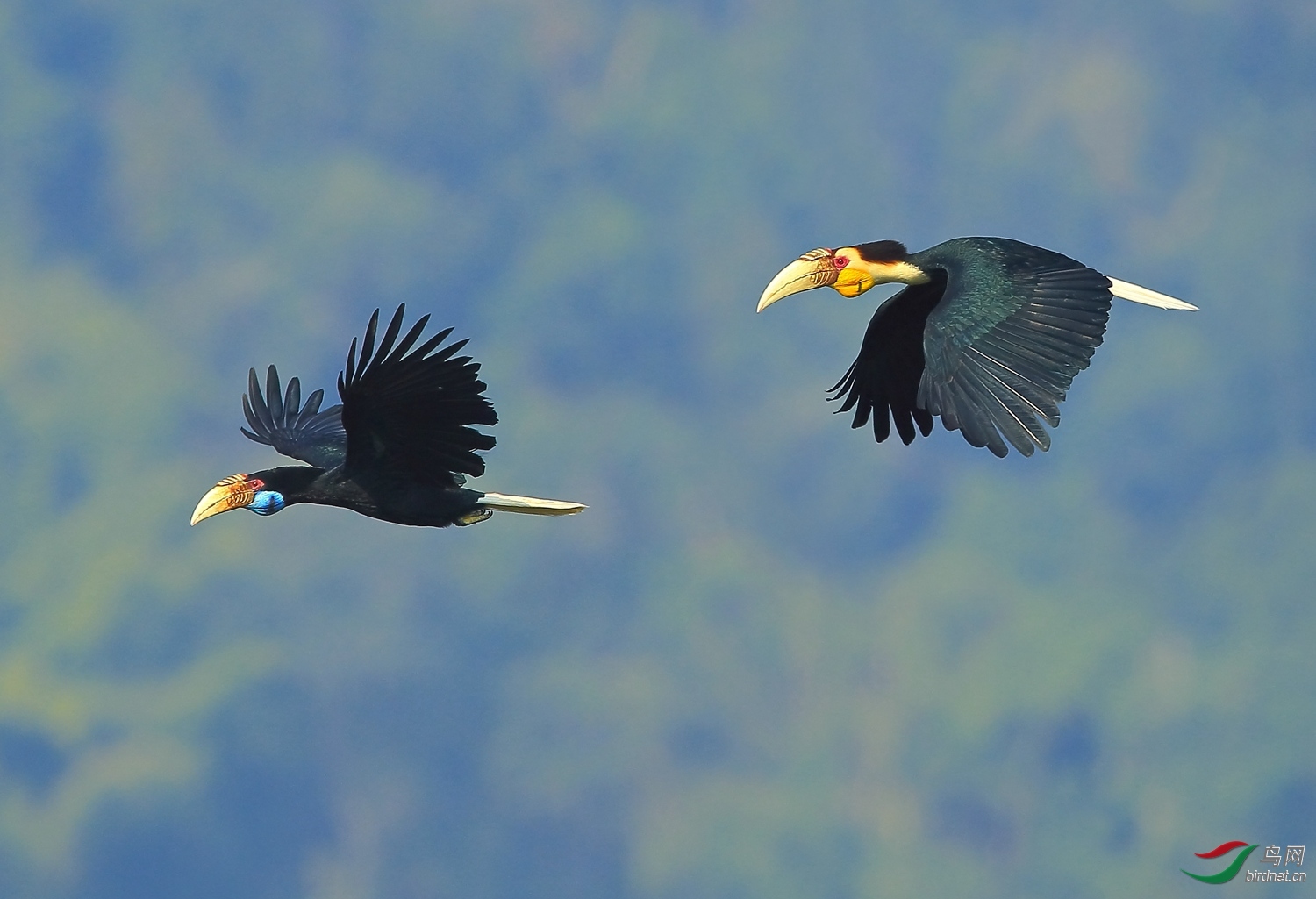 ���۷ɣ�������˾�� ��ʦ����.jpg