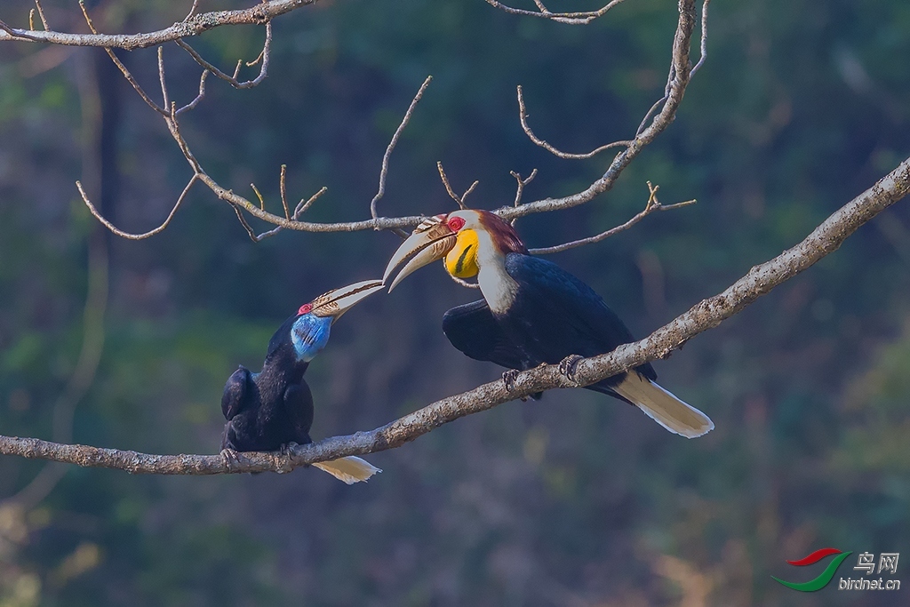 ���ۺ���������� ��ʦ����.jpg