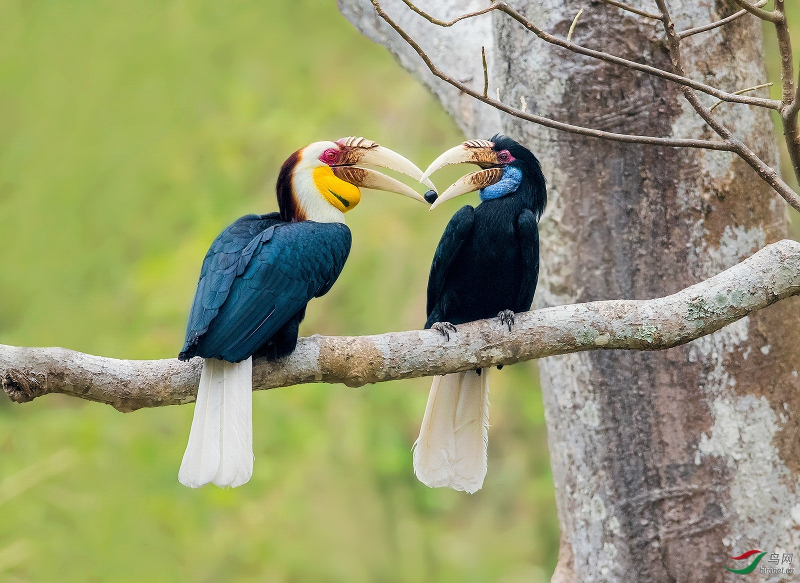 ����վ������ ��ʦ����.jpg