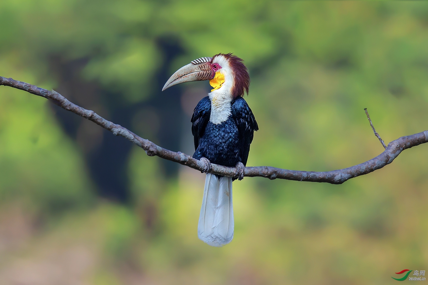 �ϱ�bj ��ʦ����������ʡ�º���徰���������� .jpg