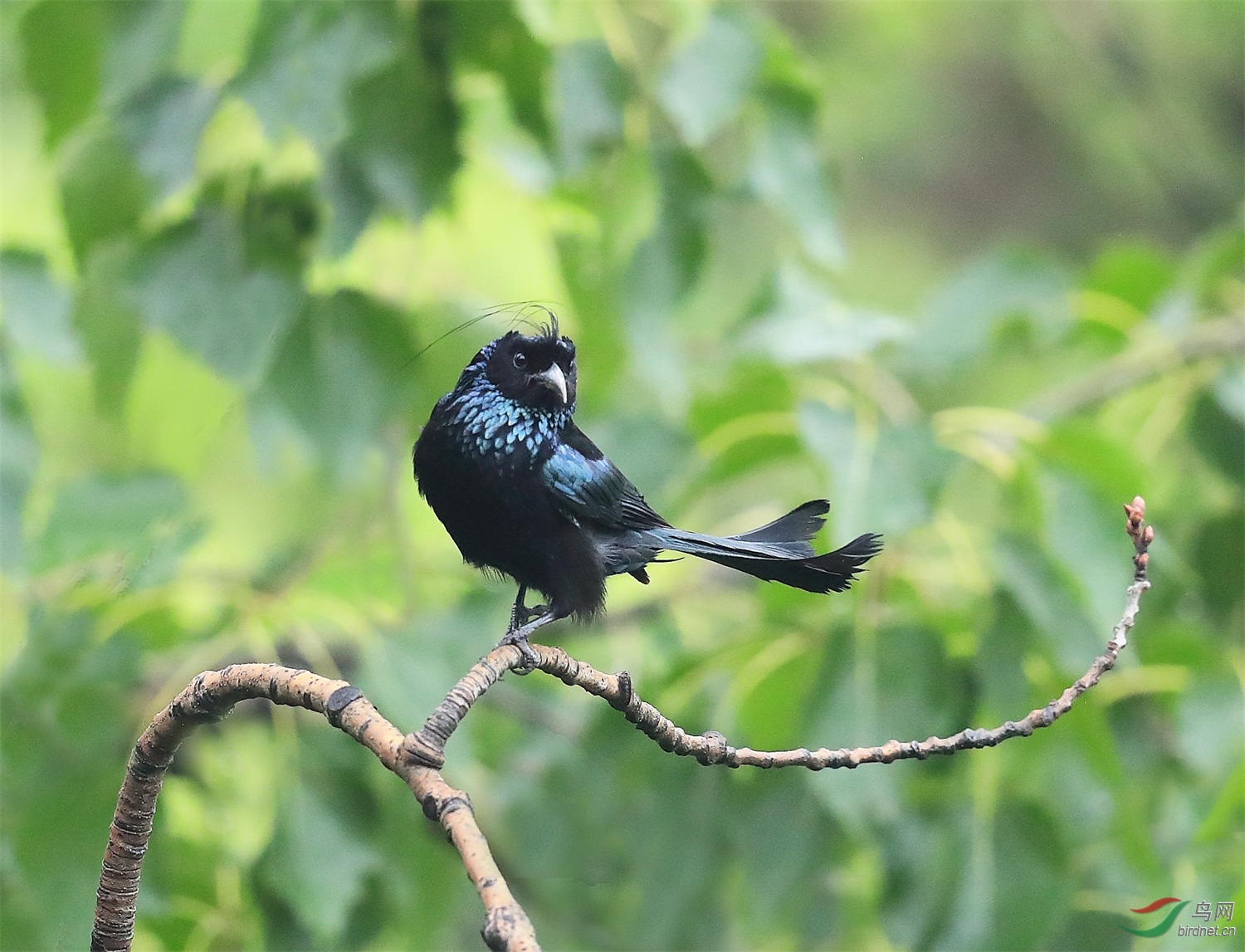 55 - ����.JPG