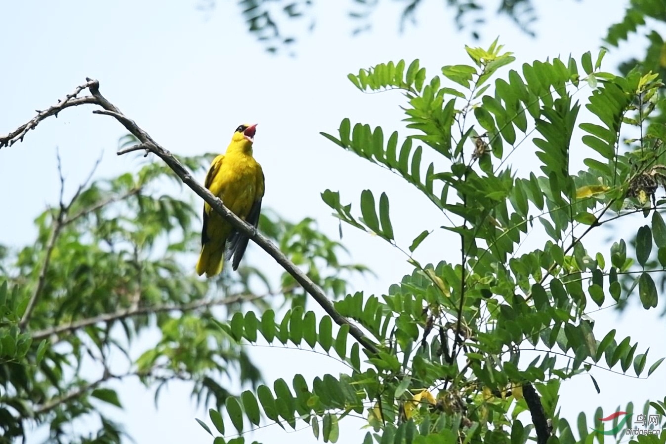 DSC_3663 00_00_18-00_00_59_Moment-1-1.jpg