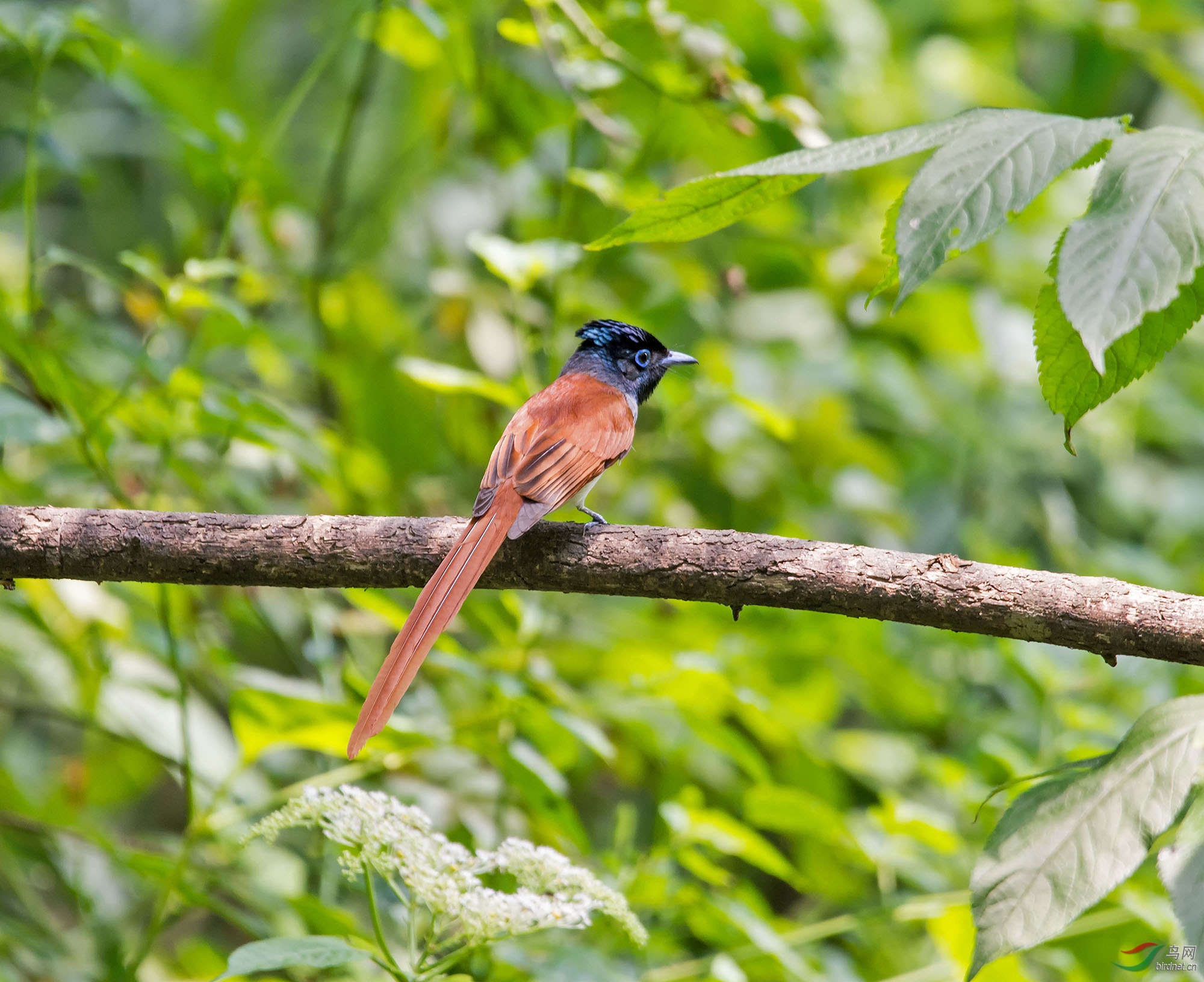 DSC_6079.jpg
