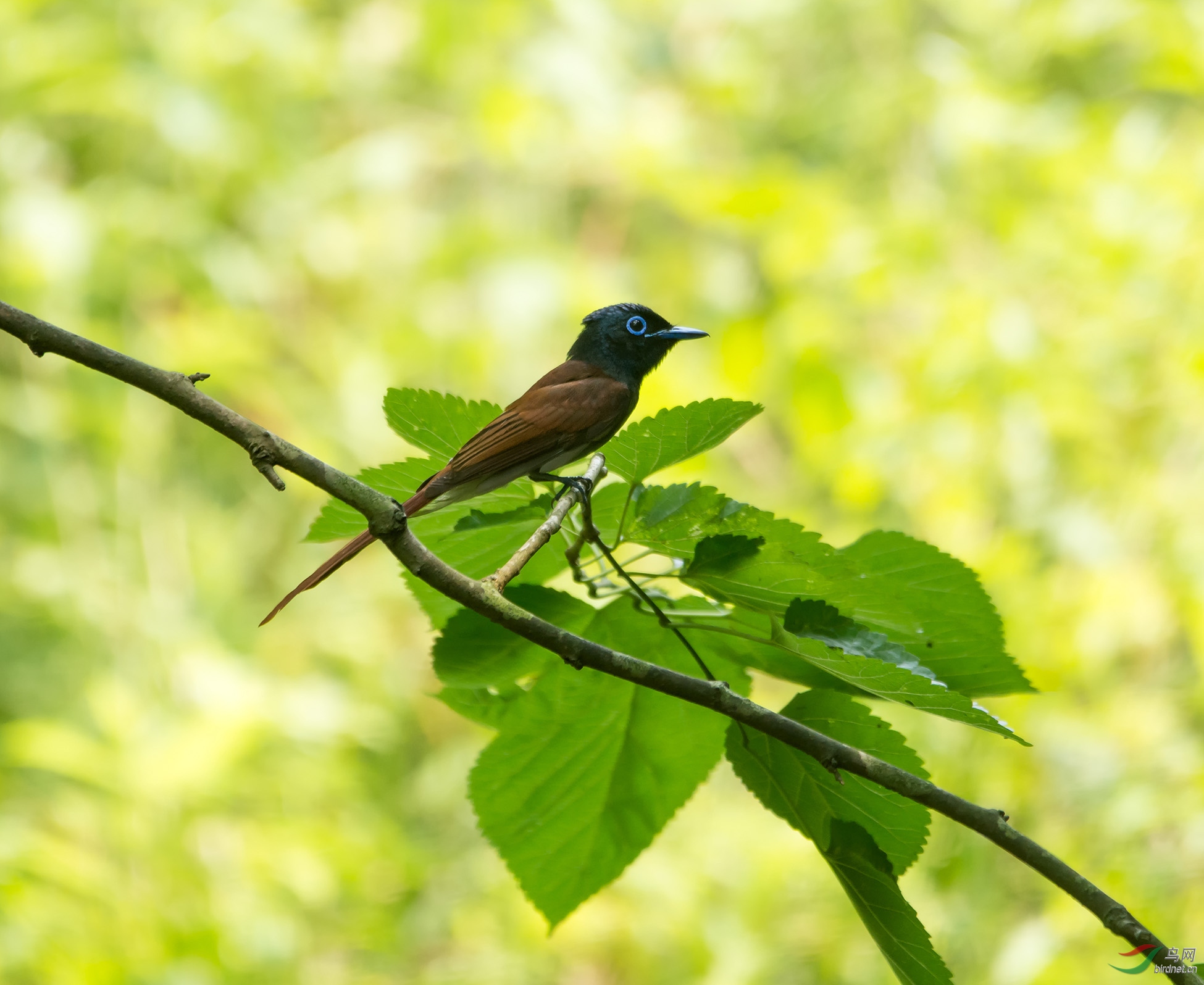 DSC_5921.jpg