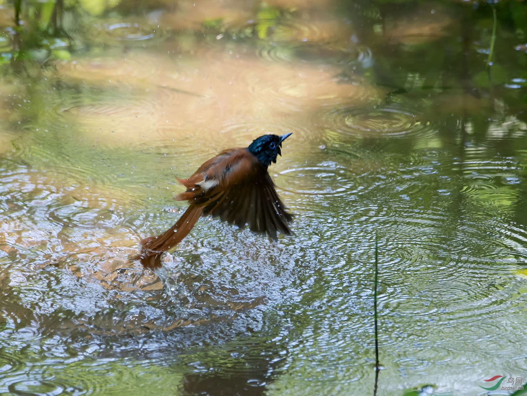 DSC_5854.jpg