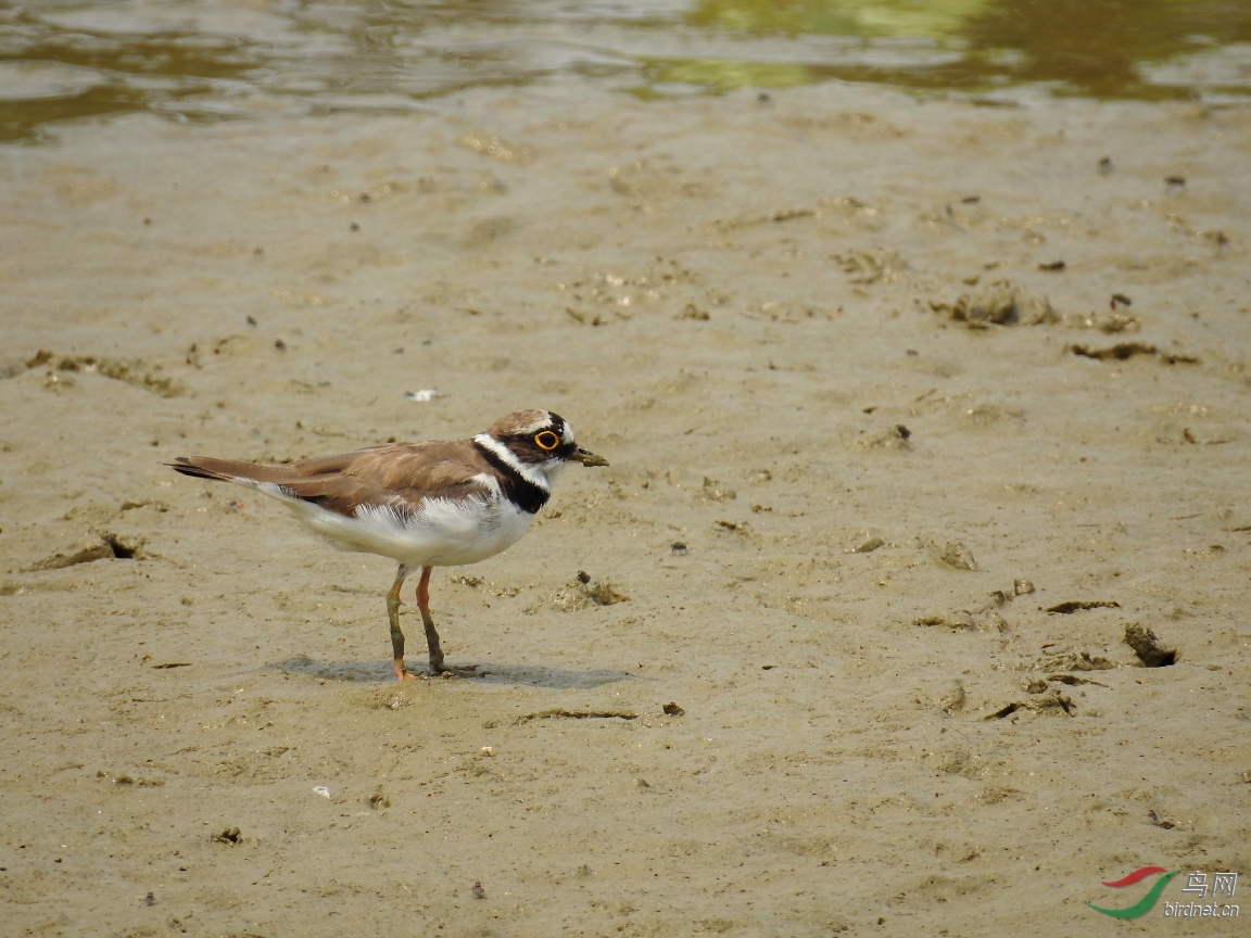 DSCN6729.JPG
