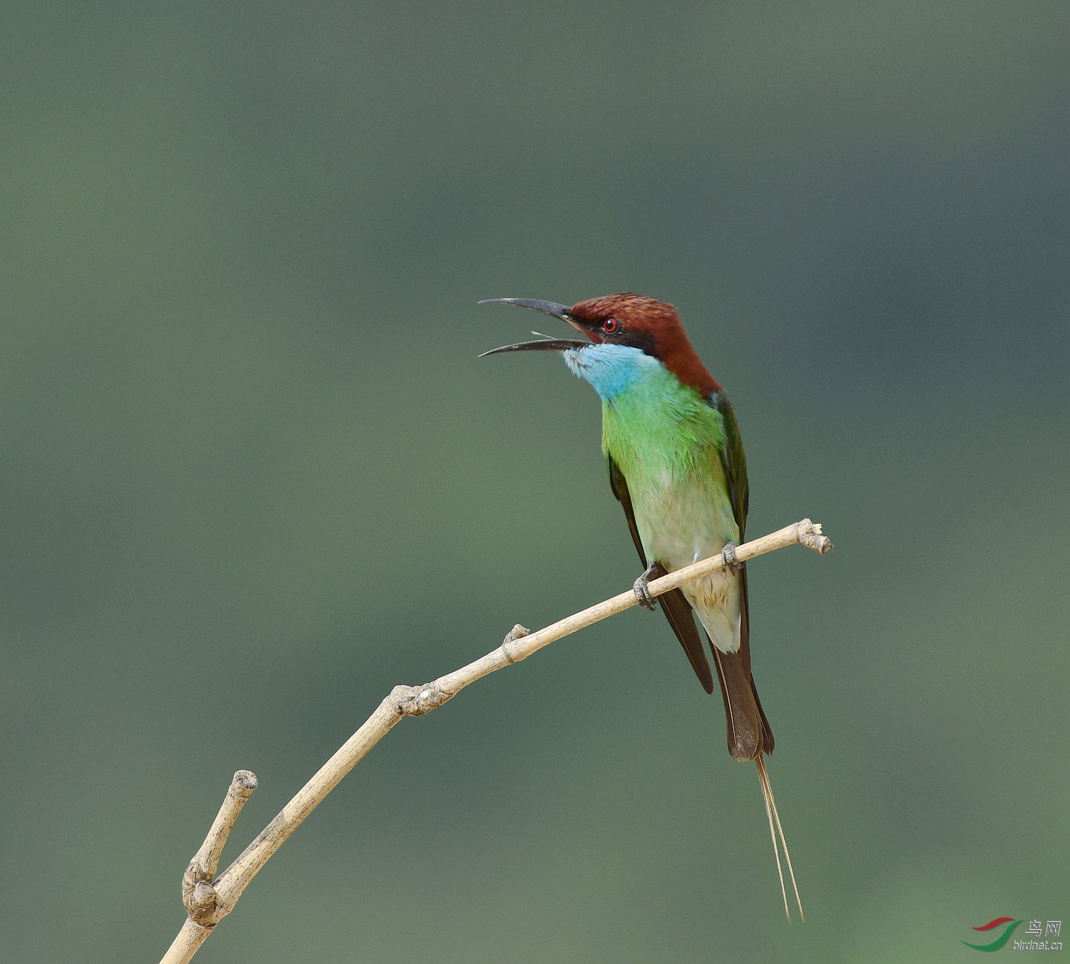 D8I_3543.jpg