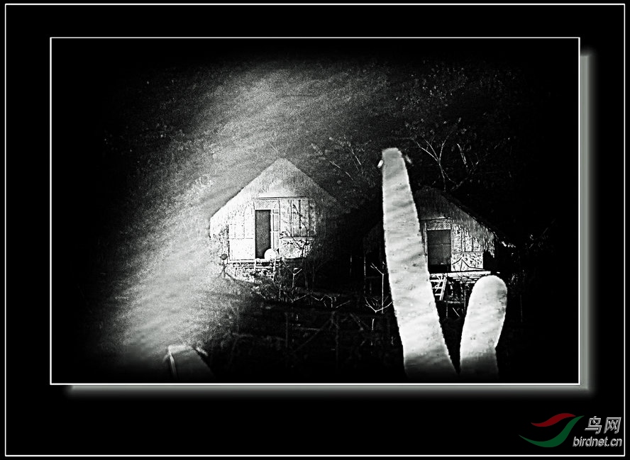 BW6I5361_����_����1_����1_����.JPG