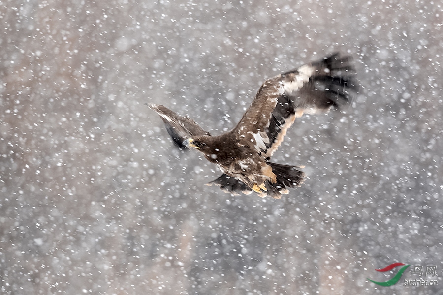 DSC_1203_DxOa.jpg