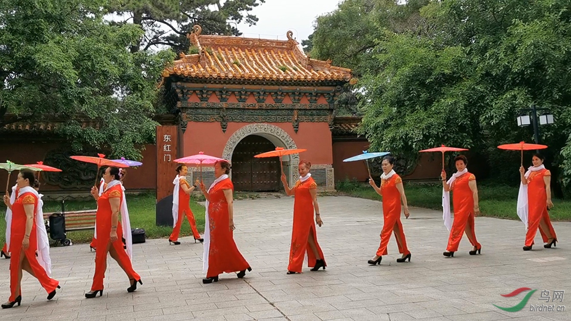 VID_20200705_092759 00_00_02-00_00_30_Moment-1-1.jpg