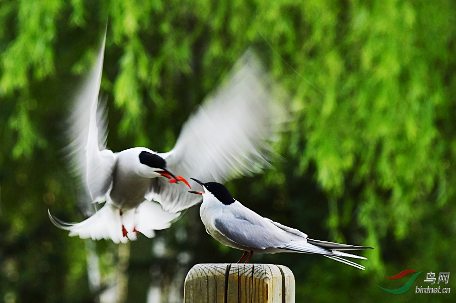 _DSC 5834 ����.jpg