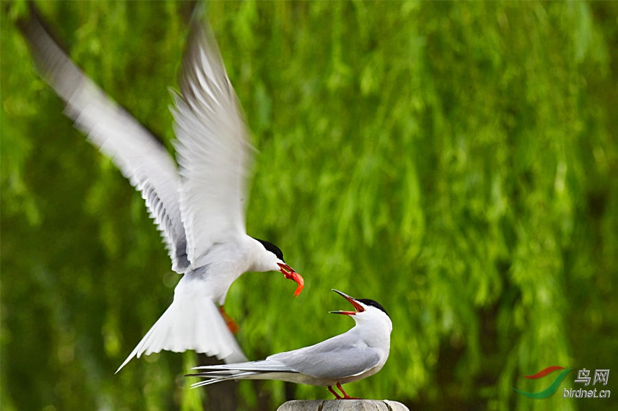 _DSC 5864 ����.jpg