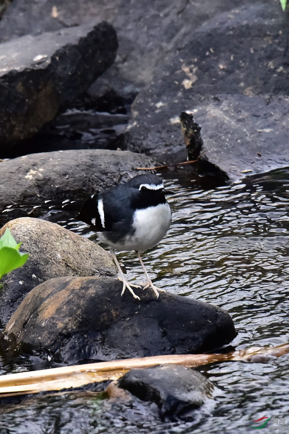 DSC_0469.JPG