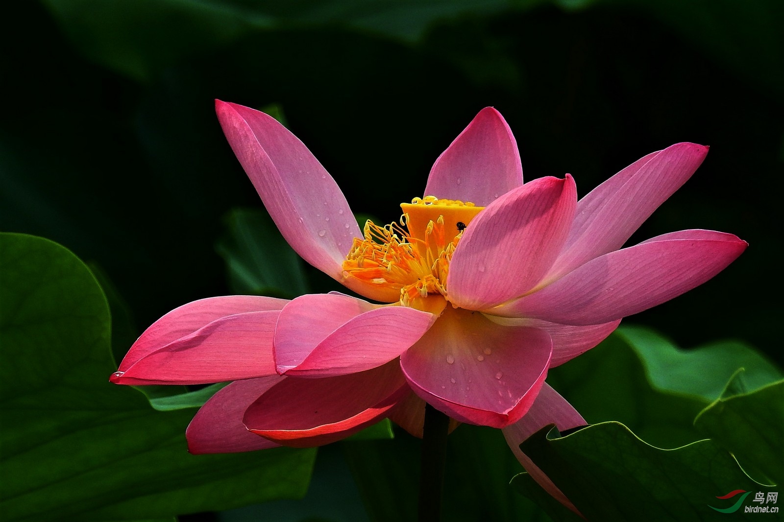 DSCN9324.JPG
