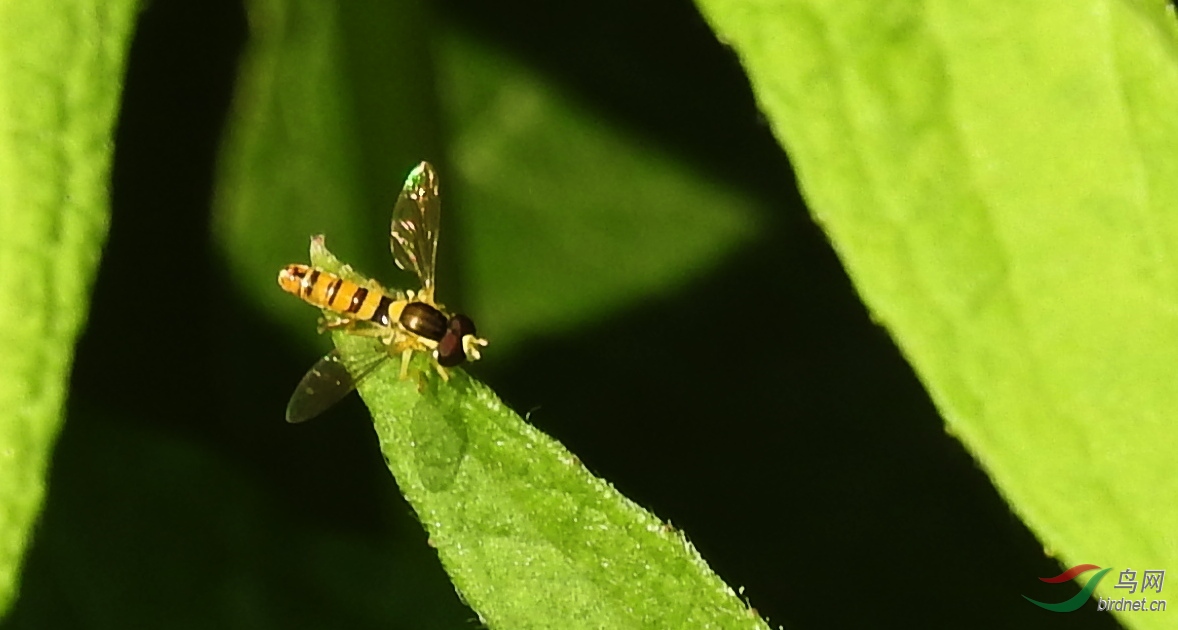 DSCN3907.JPG