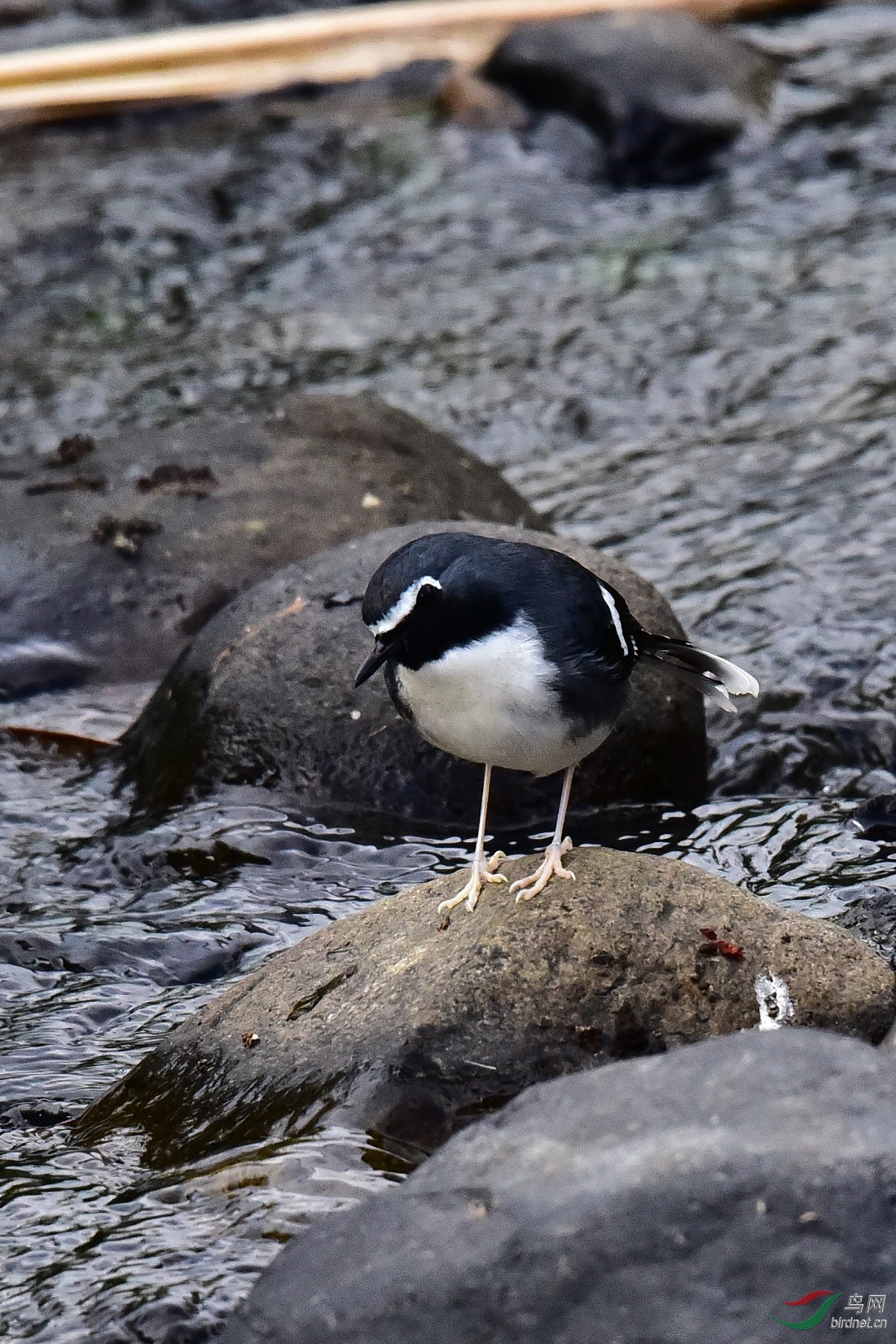 DSC_0474.JPG