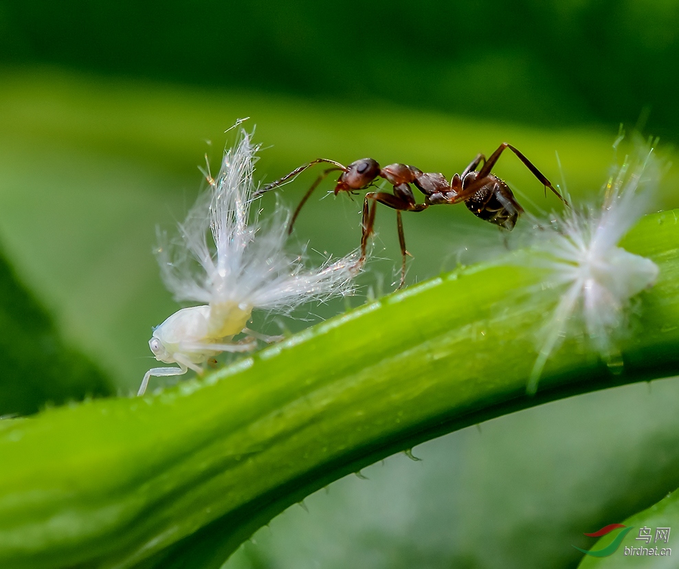 ���϶��������